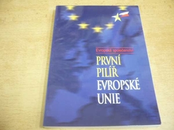 Miloslav Had - První pilíř evropské unie (2000)