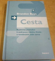 Brandon Bays - Cesta (2007)