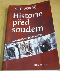 Petr Vokáč - Historie před soudem (2020)