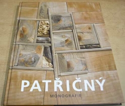 Martin Patřičný - Patřičný: Monografie (2009)