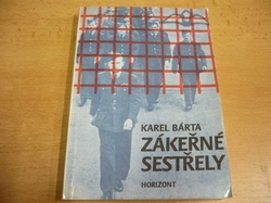 Karel Bárta - Zákeřné sestřely (1992)
