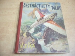 Vláďa Zíka - Šestnáctiletý pilot. Dobrodružství mladého letce v pralesích jižní Ameriky (1941)