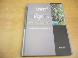 Pavel Vosoba - Firemní inteligence (2001)
