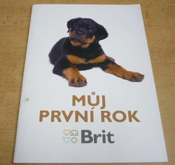Můj první rok