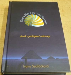 Ivana Sedláčková - Díra v hlavě mi ukázala cestu. Deník o pochopení rakoviny (2019)
