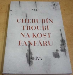 Vít Slíva - Cherubín troubí na kost fanfáru (2020)