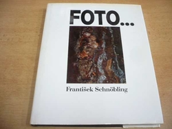 František Schnöbling - Foto (1995)
