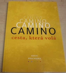 Camino, cesta, která volá (2020)