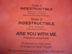 Maxisingle Four Tops - Indestructible