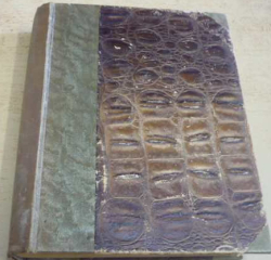 Jan Klecanda - Maloměstský apoštol (1925)