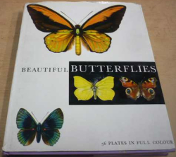 F. Procházka - Beautiful Butterflies/Nádherní motýli (1964) anglicky