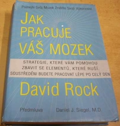 David Rock - Jak pracuje váš mozek (2010)